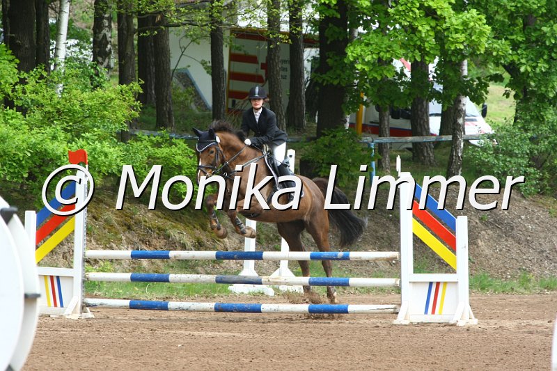 104M3756_Red Indian Summer_StispringWB E.JPG